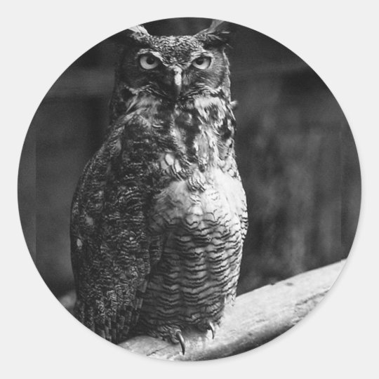 Great Horned Owl Classic Round Sticker