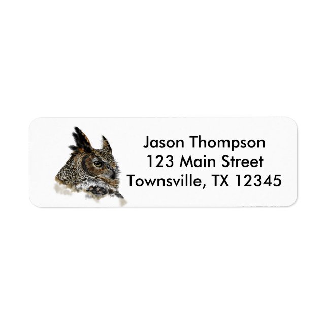 Great Horned Owl Drawing (Front)