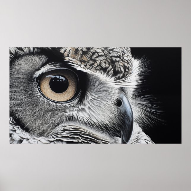 Great horned owl face close up poster (Front)