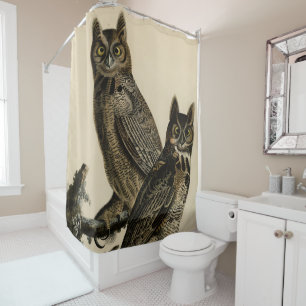 Great Horned Owl from Audubon's Birds of America