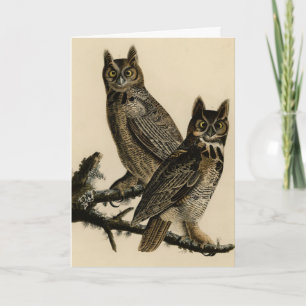 Great Horned Owl from Audubon's Birds of America Card