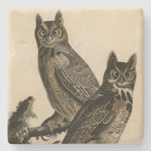 Great Horned Owl from Audubon's Birds of America Stone Coaster