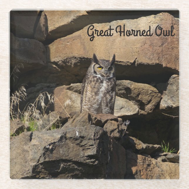 Great Horned Owl Glass Coaster (Front)
