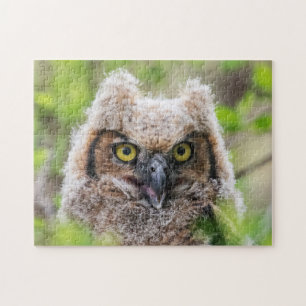 Great Horned Owl Jigsaw Puzzle