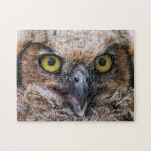 Great Horned Owl Jigsaw Puzzle