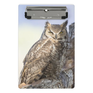 Great Horned Owl - Looking at You Mini Clipboard