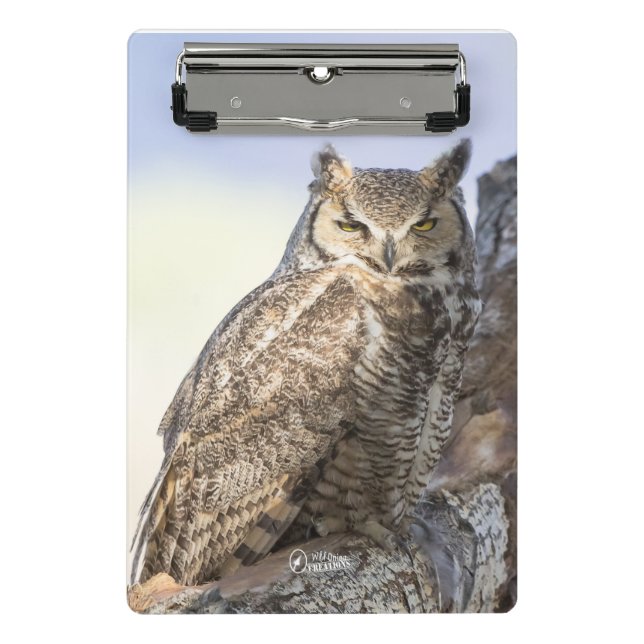 Great Horned Owl - Looking at You Mini Clipboard (Front)