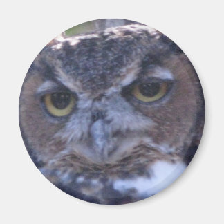 Great Horned Owl magnet