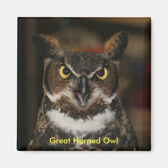 Great Horned Owl Magnet (Front)