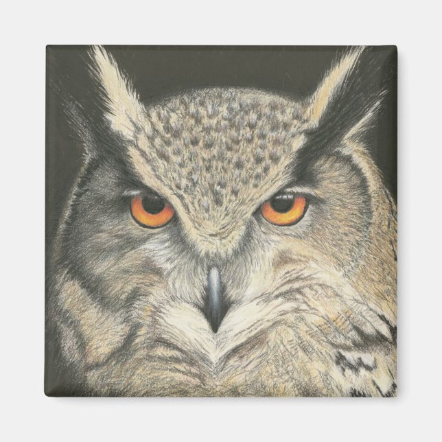 Great Horned Owl Magnet (Front)
