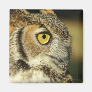 Great Horned Owl Magnet