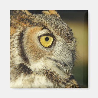 Great Horned Owl Magnet