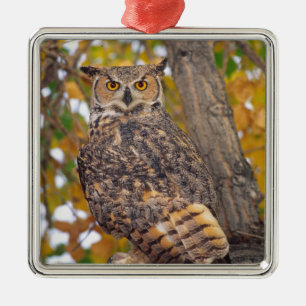 Great Horned Owl Metal Ornament