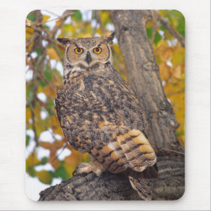 Great Horned Owl Mouse Pad