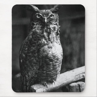 Great Horned Owl Mouse Pad