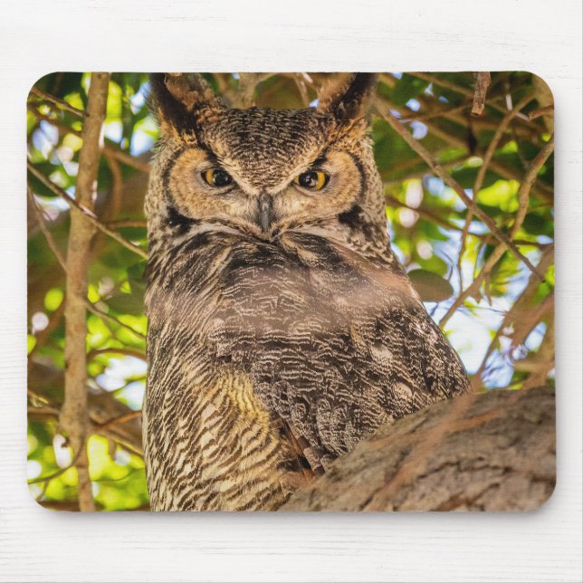 Great Horned Owl Mouse Pad | Wildlife Desk Decor (Front)