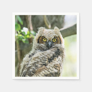 Great Horned Owl Napkin