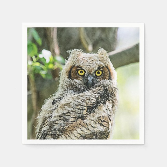 Great Horned Owl Napkin (Front)