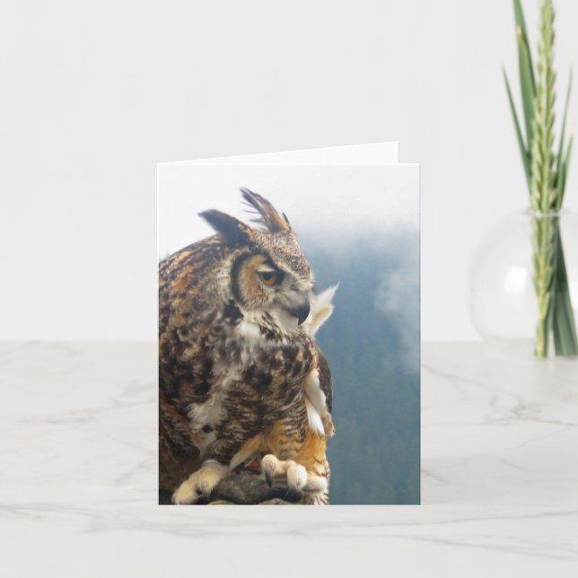 Great Horned Owl Note Card (Front)