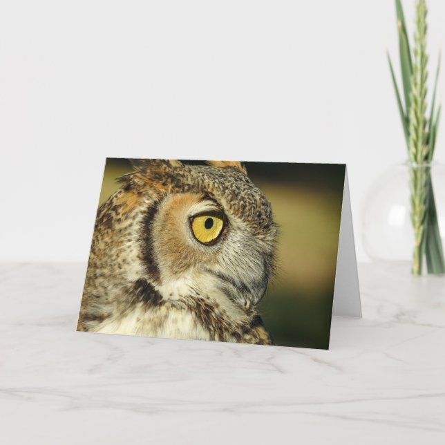 Great Horned Owl Notecard (Front)
