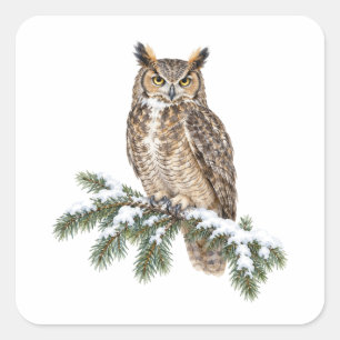 Great Horned Owl on a Snowy Spruce Branch Square Sticker