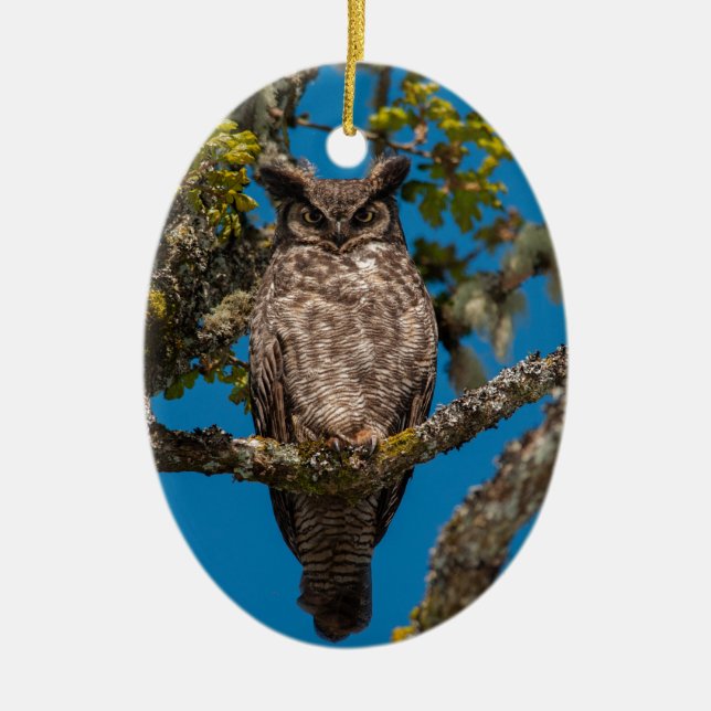 Great Horned Owl perched on a Garry Oak Ceramic Ornament (Front)