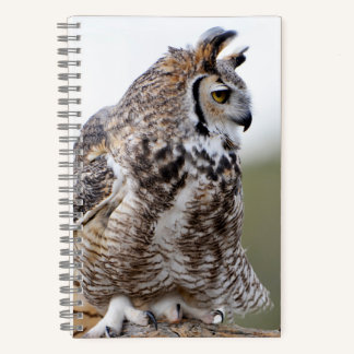 Great Horned Owl Photo 8x5 Notebook