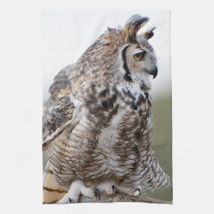 Great Horned Owl Photo Kitchen Towel