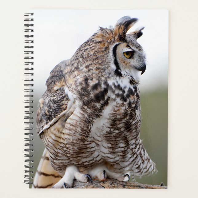 Great Horned Owl Photo Planner (Front)