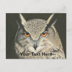 Great Horned Owl Postcard