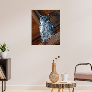 Great Horned Owl Poster Print