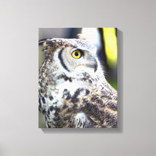 Great Horned Owl Profile Canvas Print