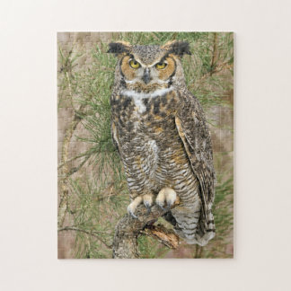 Great Horned Owl Puzzle
