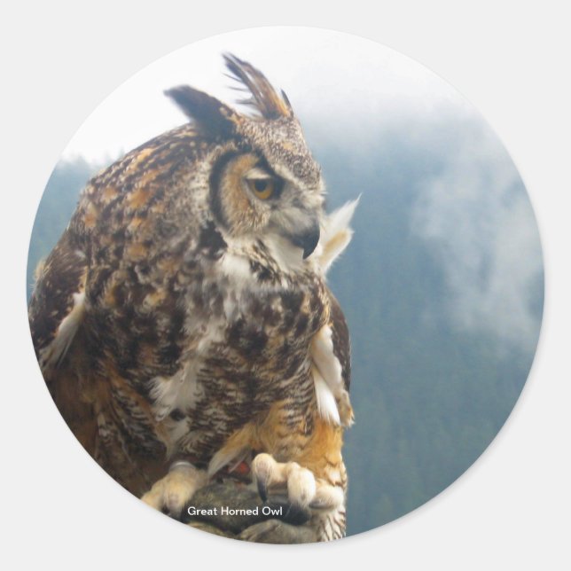 Great Horned Owl Sticker (Front)