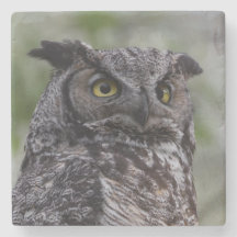 Great Horned Owl Stone Coaster