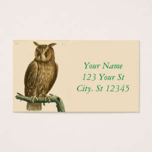 Great Horned Owl Thunder_Cove