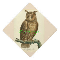 Great Horned Owl Thunder_Cove