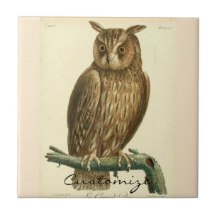 Great Horned Owl Thunder_Cove Tile