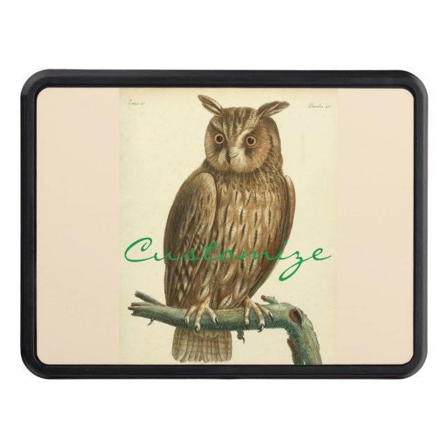 Great Horned Owl Thunder_Cove Trailer Hitch Cover (Front)