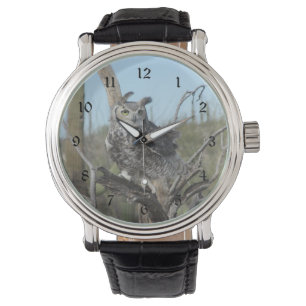 Great Horned Owl Watch