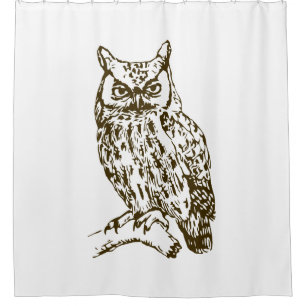 Great Horned Owl White