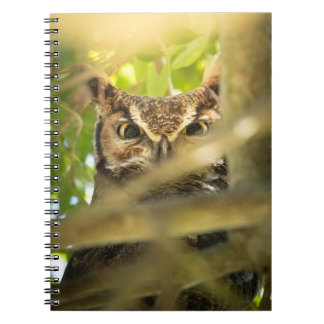 Great Horned Owl Wildlife Nature Photo Art Print Notebook