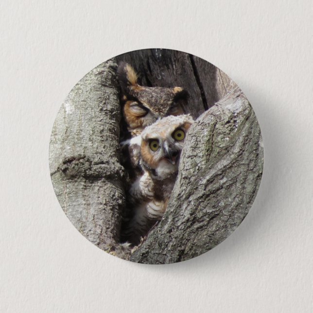 Great Horned Owl with newborn 2 Inch Round Button (Front)