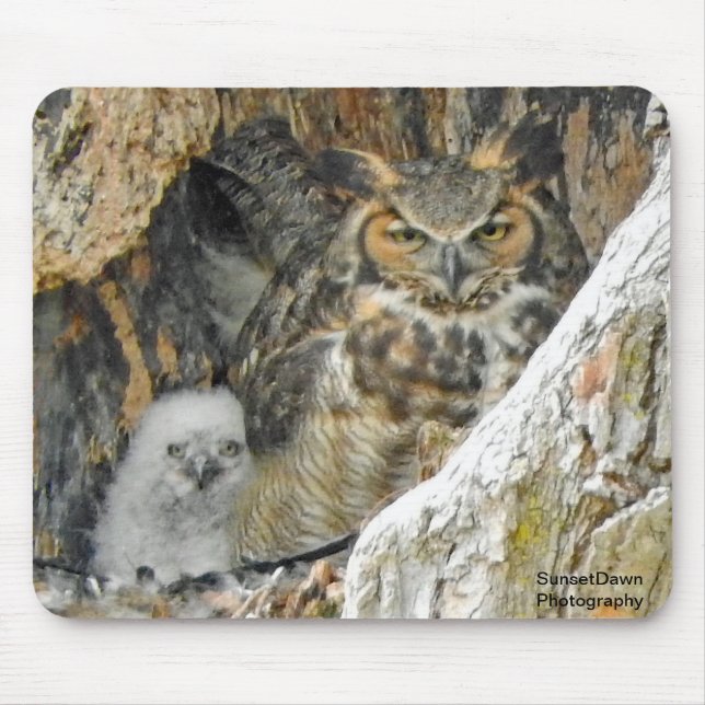 Great Horned Owl with Owlet Mouse Pad (Front)