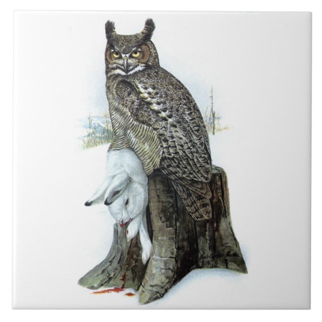 Great Horned Owl with snow hare rabbit Painting Tile (Front)