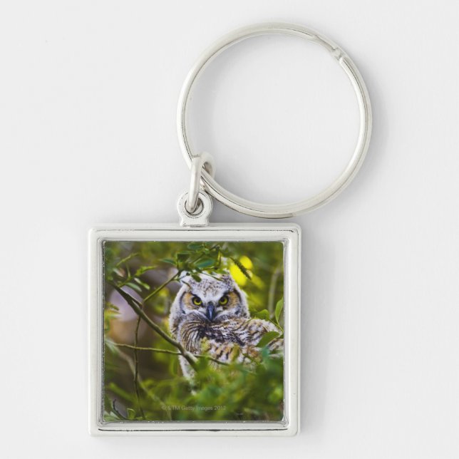 Great Horned Owlet Keychain (Front)