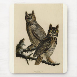Great Horned Owls (by John James Audubon) Mouse Pad