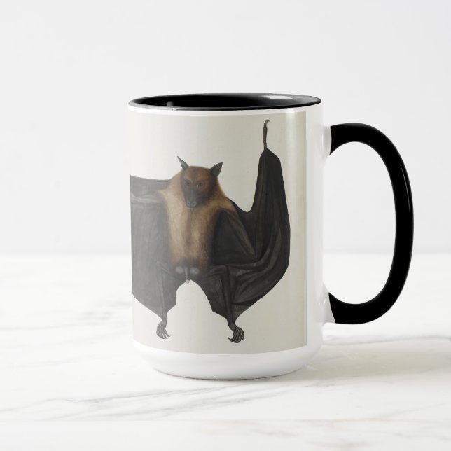 Great Indian Fruit Bat, c.1777-82 Mug (Right)