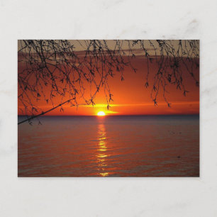 Great Lakes Sunset by Bobby Mikul Postcard