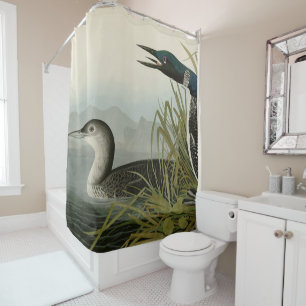 Great Northern Diver Loon Audubon Birds of America